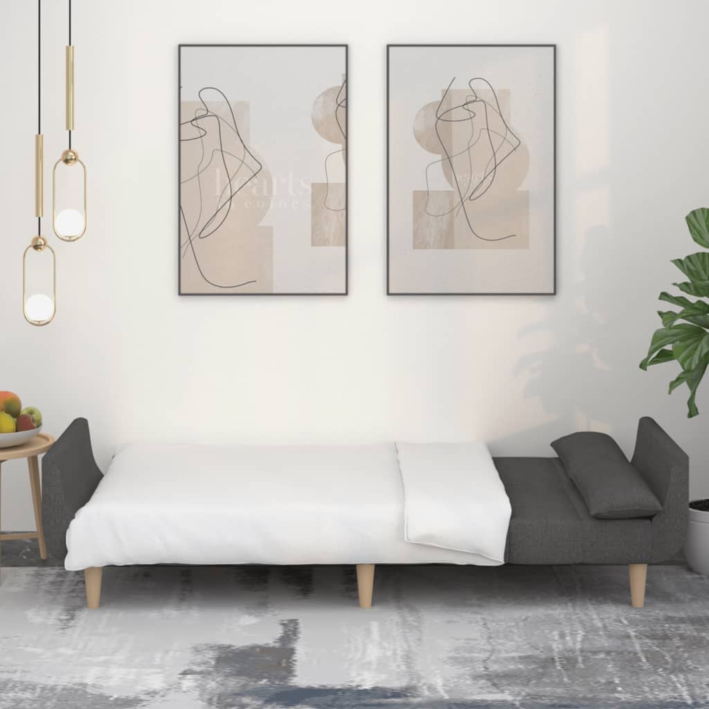 2-Personers Sovesofa Med 2 Puder Stof