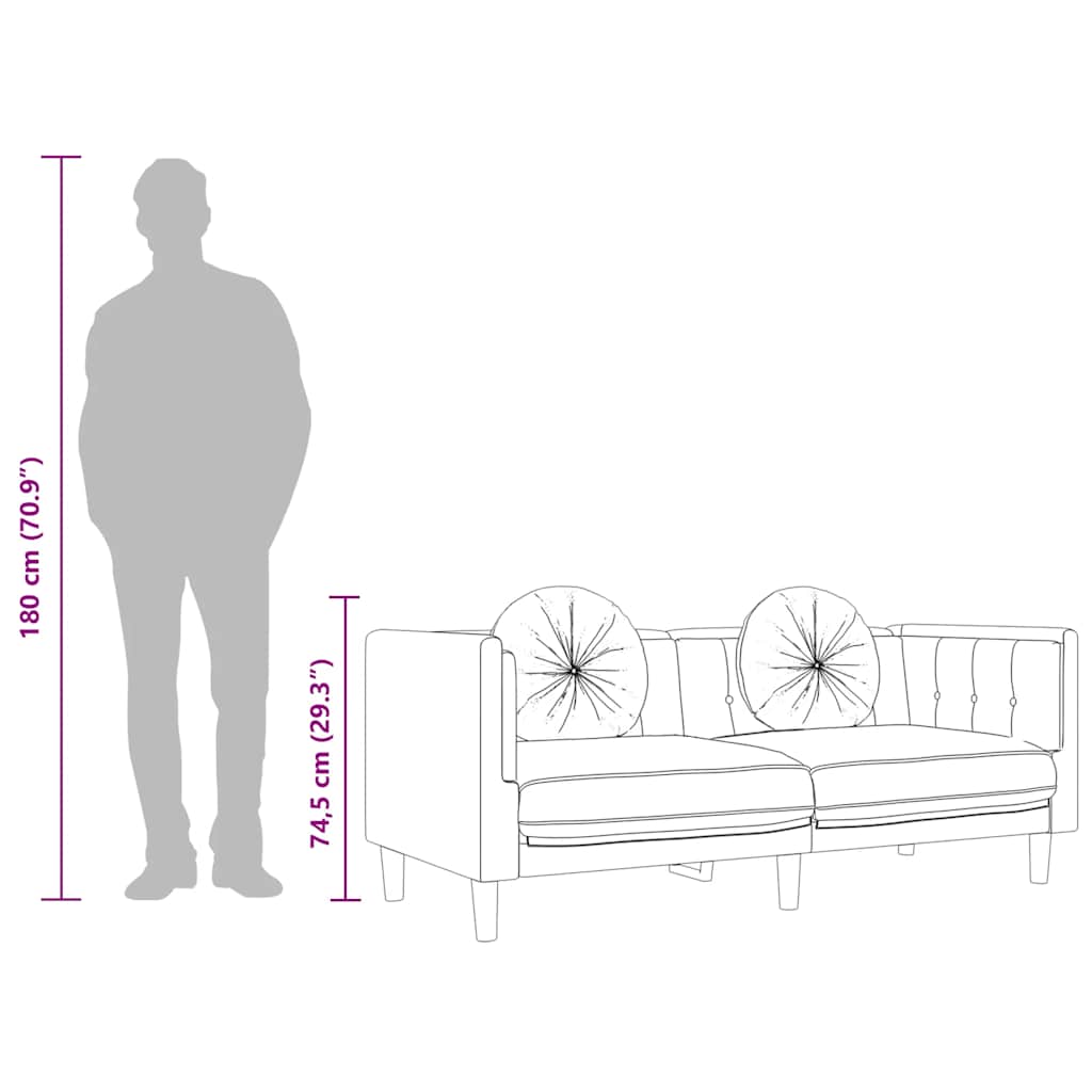 2-Personers Sofa Med Hynder Velour