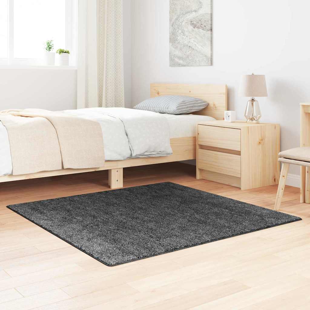 Anti-Slip Shaggy Tæppe Pp